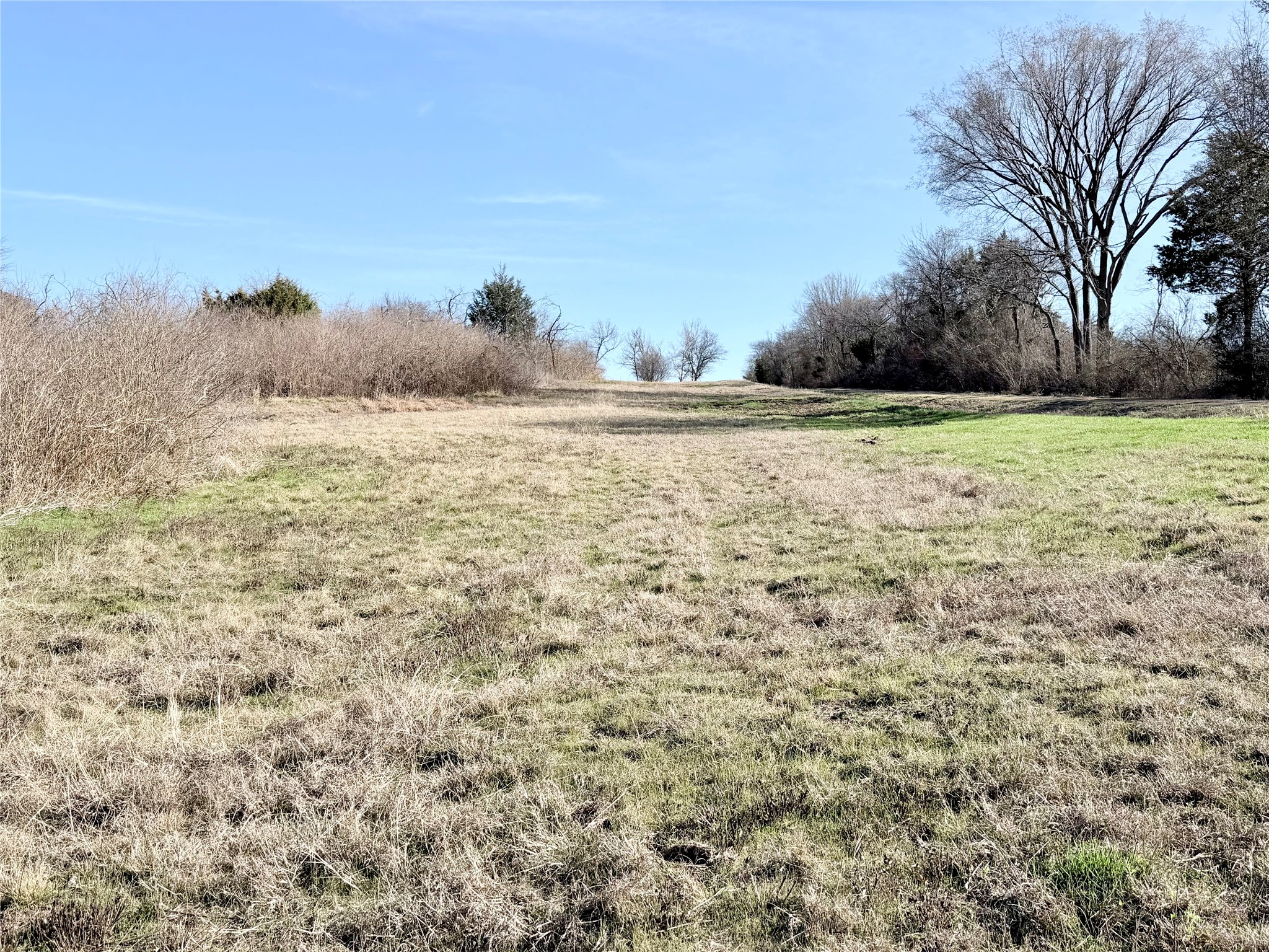 Tbd 117 Acres S Anthony Road Ennis TX 75119