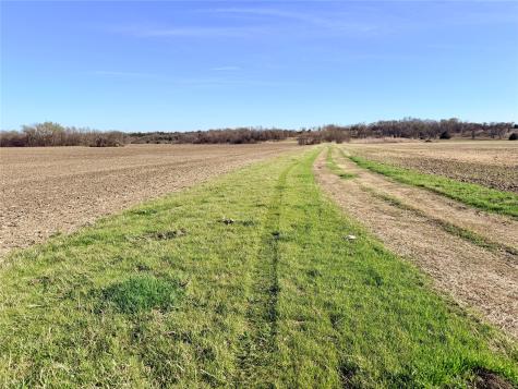 Tbd 117 Acres S Anthony Road Ennis TX 75119