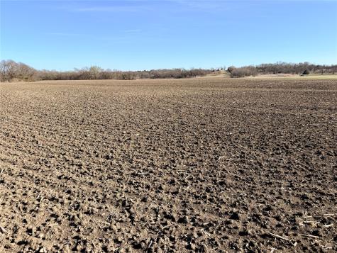 Tbd 117 Acres S Anthony Road Ennis TX 75119