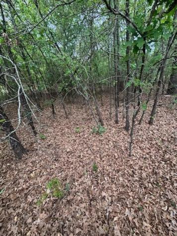 46 April Cove Streetman TX 75859