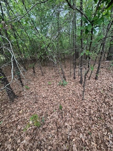 46 April Cove Streetman TX 75859