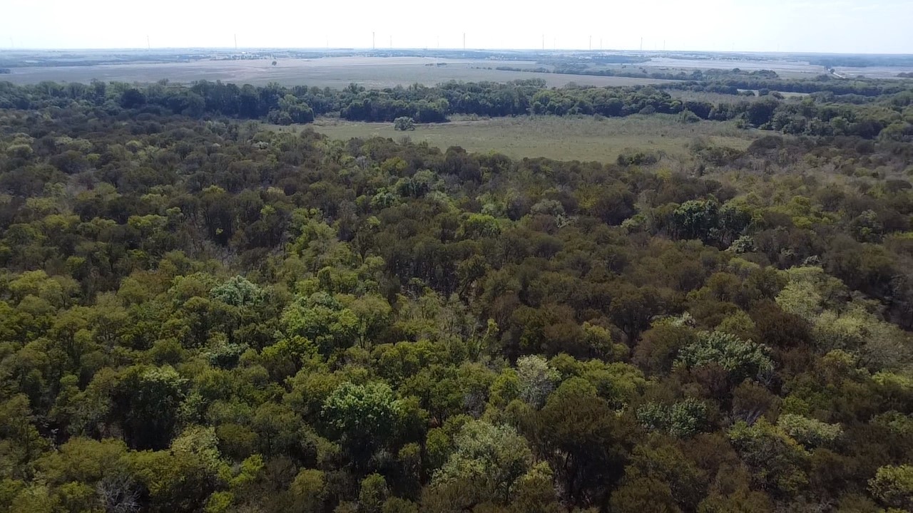Tbd SW Cr 3160 Dawson TX 76639