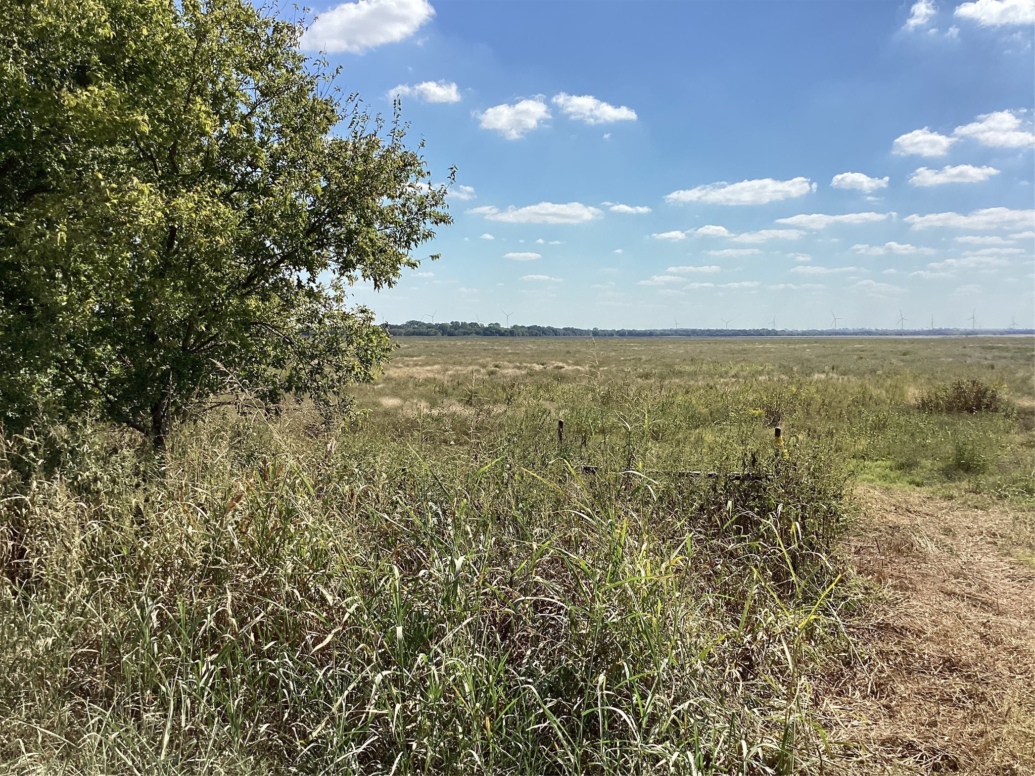Tbd SW Cr 3160 Dawson TX 76639
