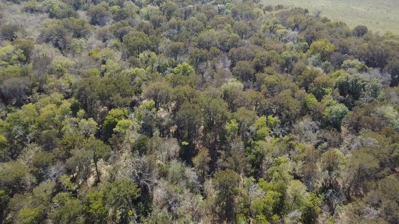 Tbd SW Cr 3160 Dawson TX 76639