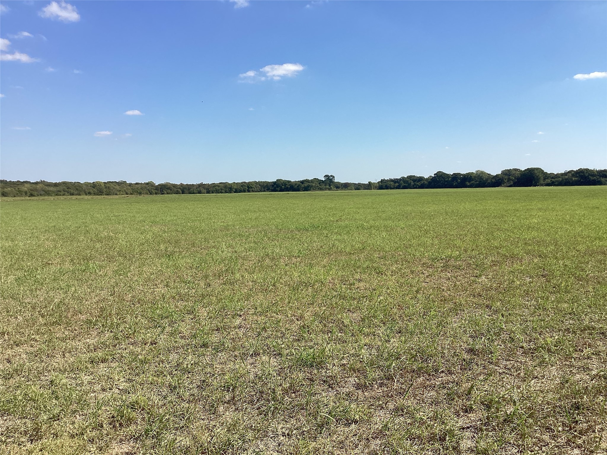 Tbd SW Cr 3160 Dawson TX 76639