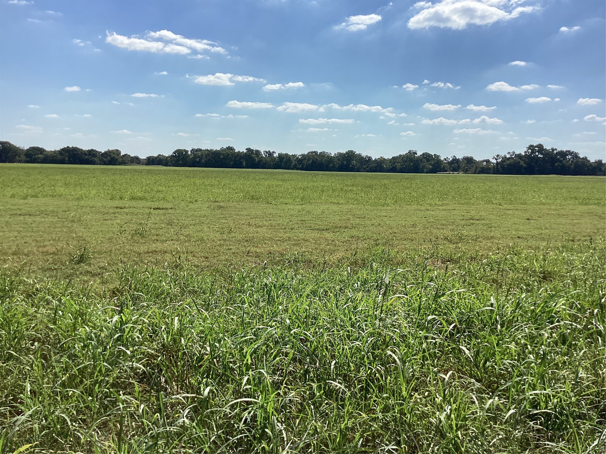 Tbd SW Cr 3160 Dawson TX 76639