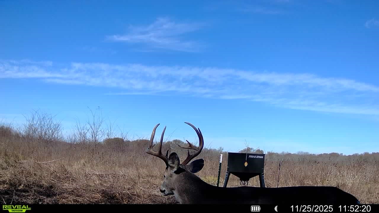 Tbd SW Cr 3160 Dawson TX 76639