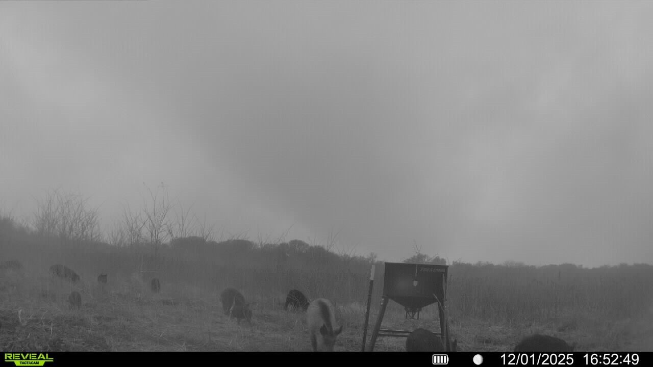 Tbd SW Cr 3160 Dawson TX 76639
