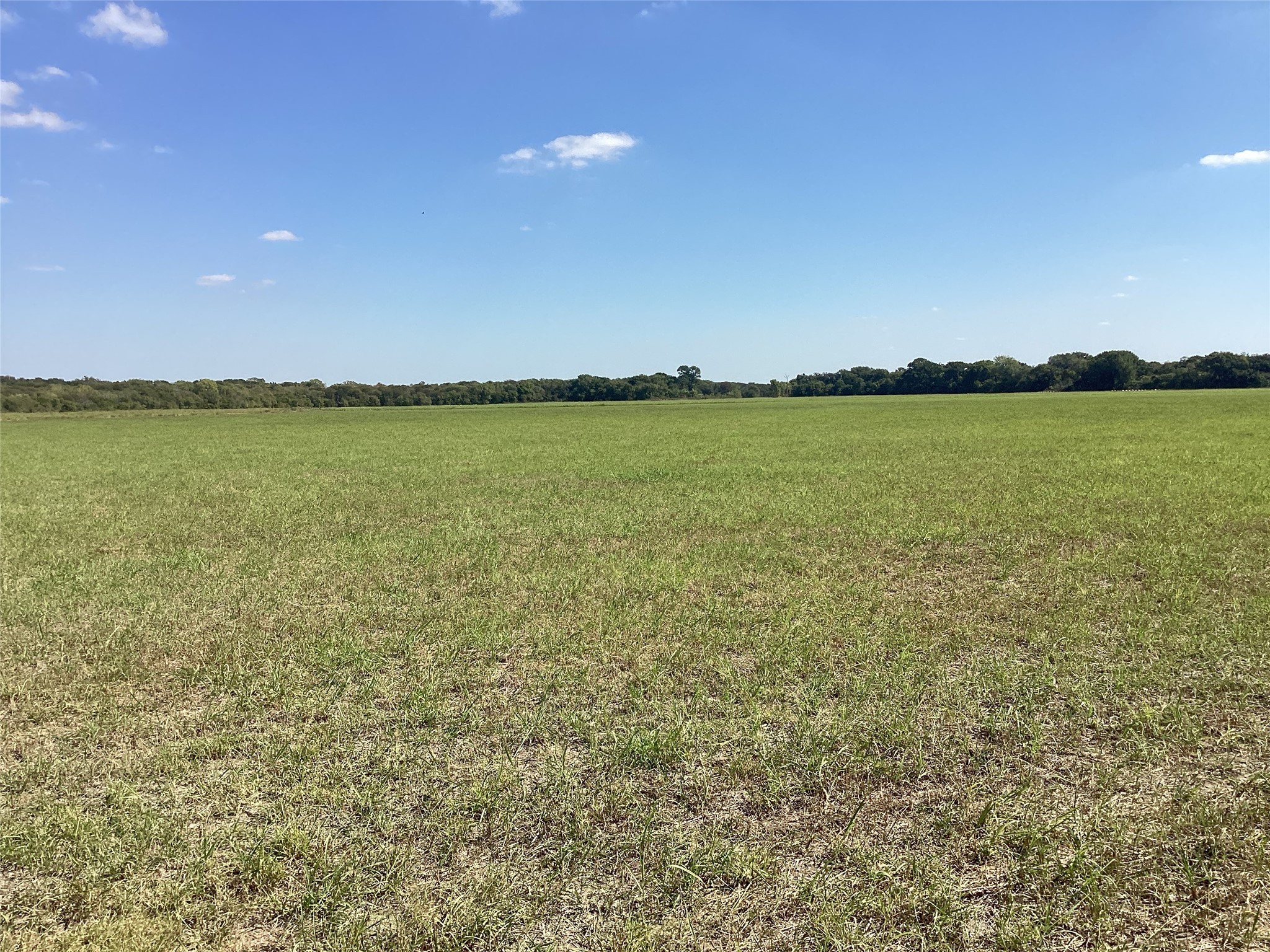 Tbd SW Cr 3160 Dawson TX 76639