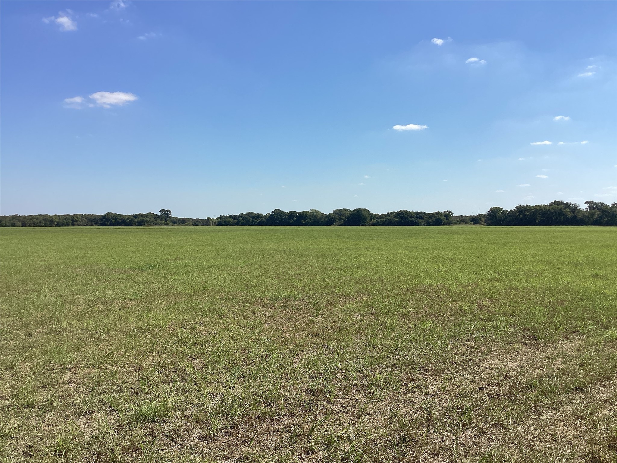 Tbd SW Cr 3160 Dawson TX 76639
