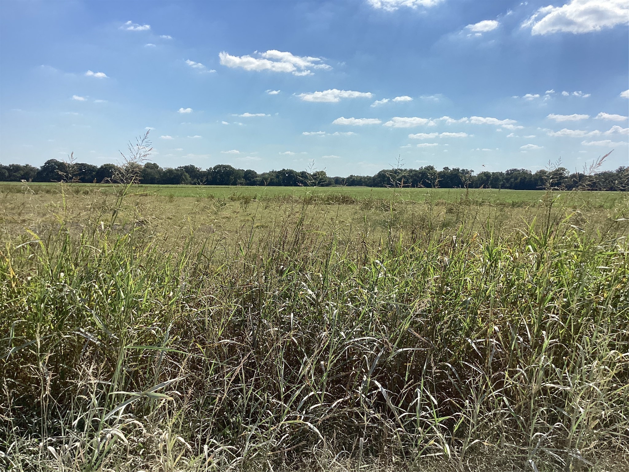 Tbd SW Cr 3160 Dawson TX 76639