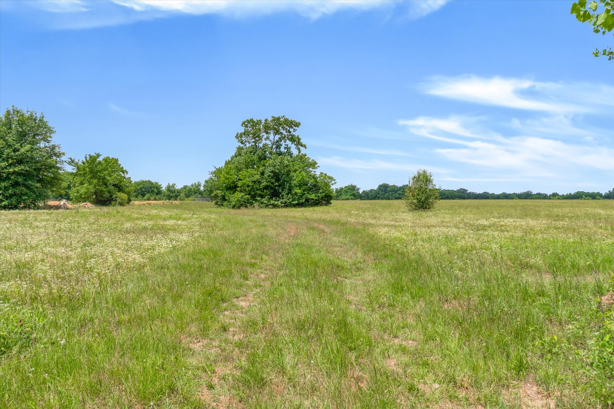 11551 County Road 314 Road Terrell TX 75161