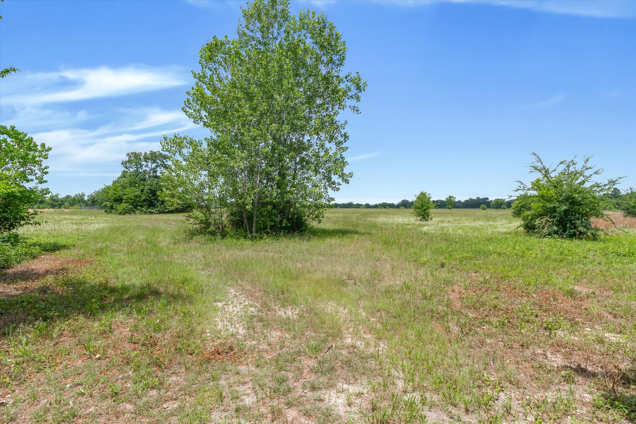 11551 County Road 314 Road Terrell TX 75161