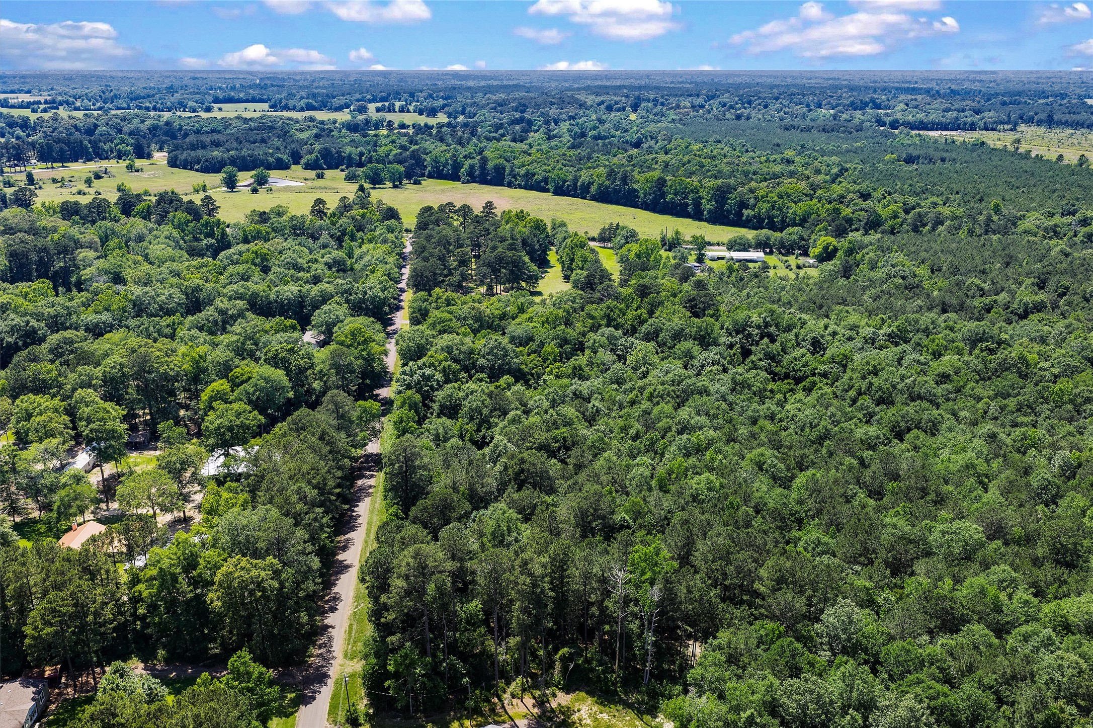 Tbd County Road 3363 De Berry TX 75639
