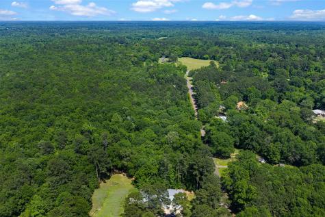 Tbd County Road 3363 De Berry TX 75639