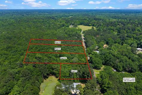 Tbd County Road 3363 De Berry TX 75639