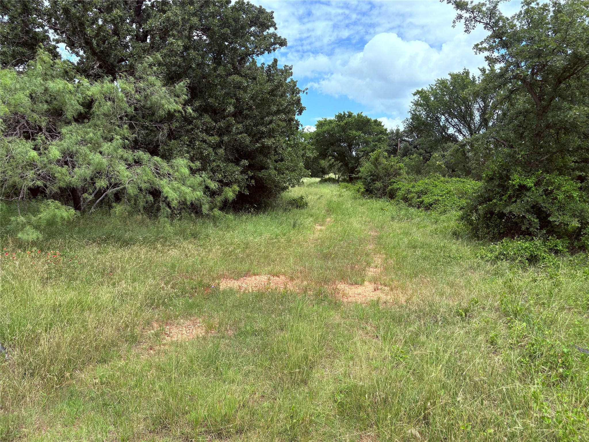 1600 Cr 330 Eastland TX 76448