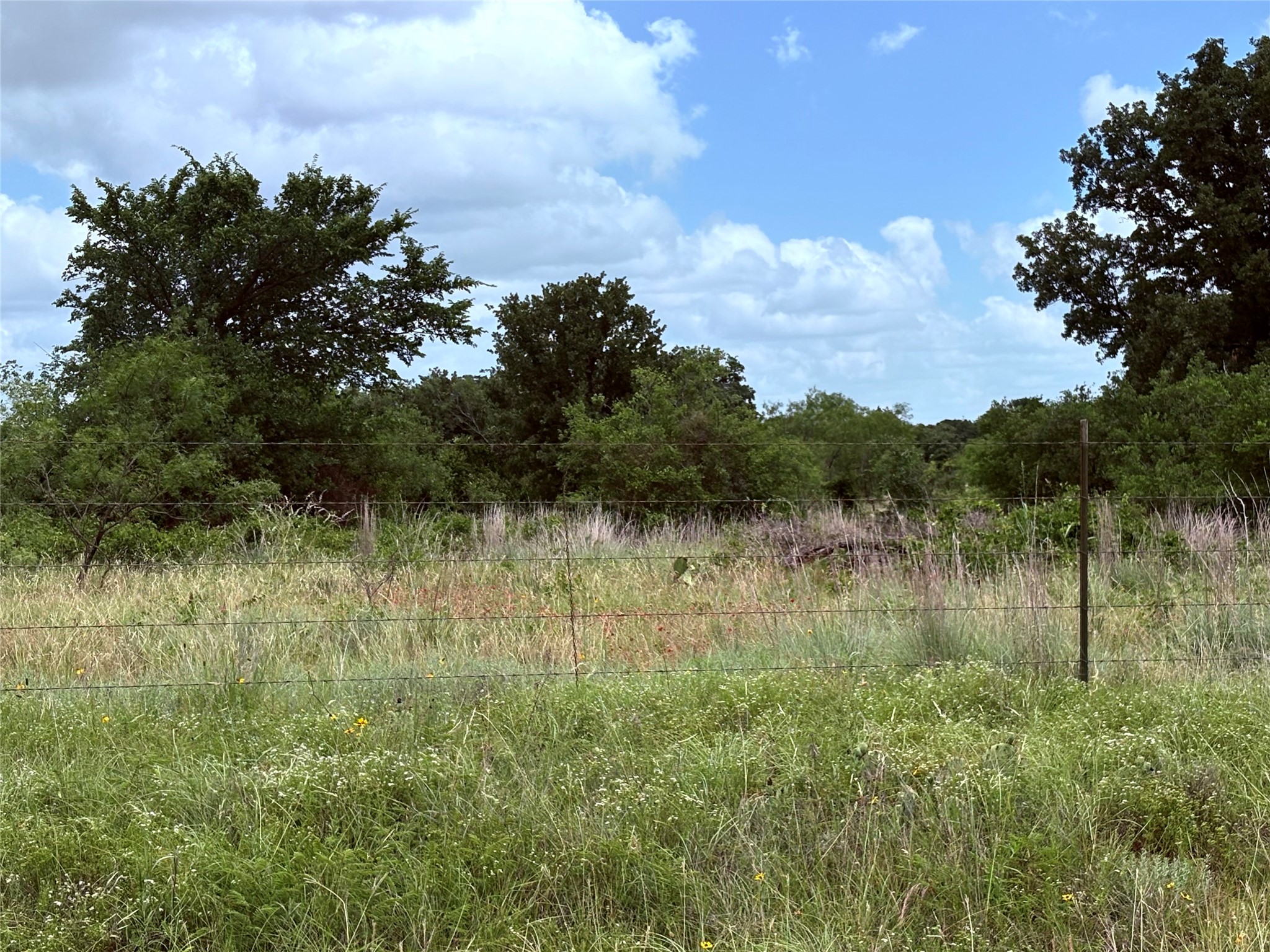 1600 Cr 330 Eastland TX 76448