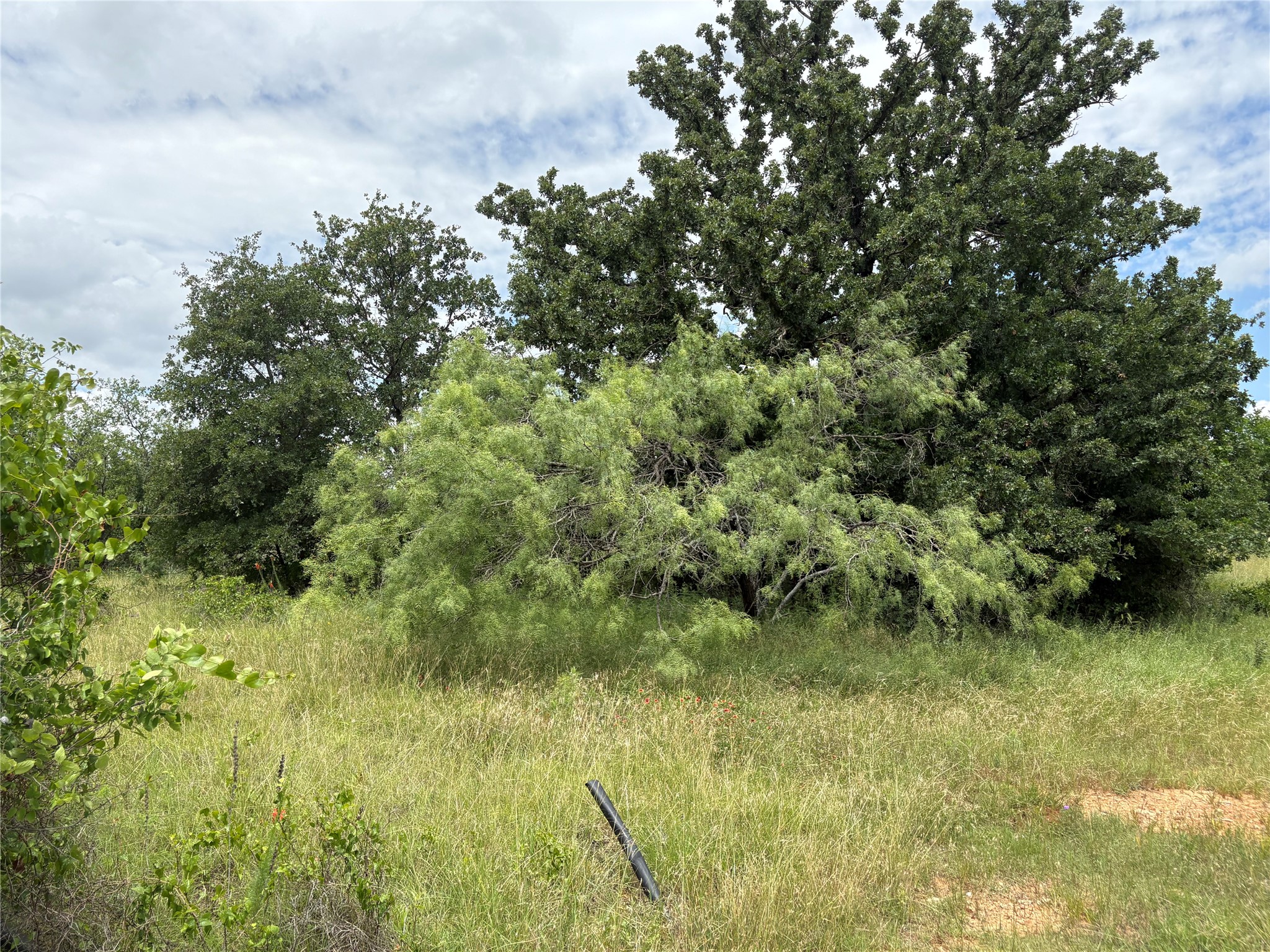 1600 Cr 330 Eastland TX 76448