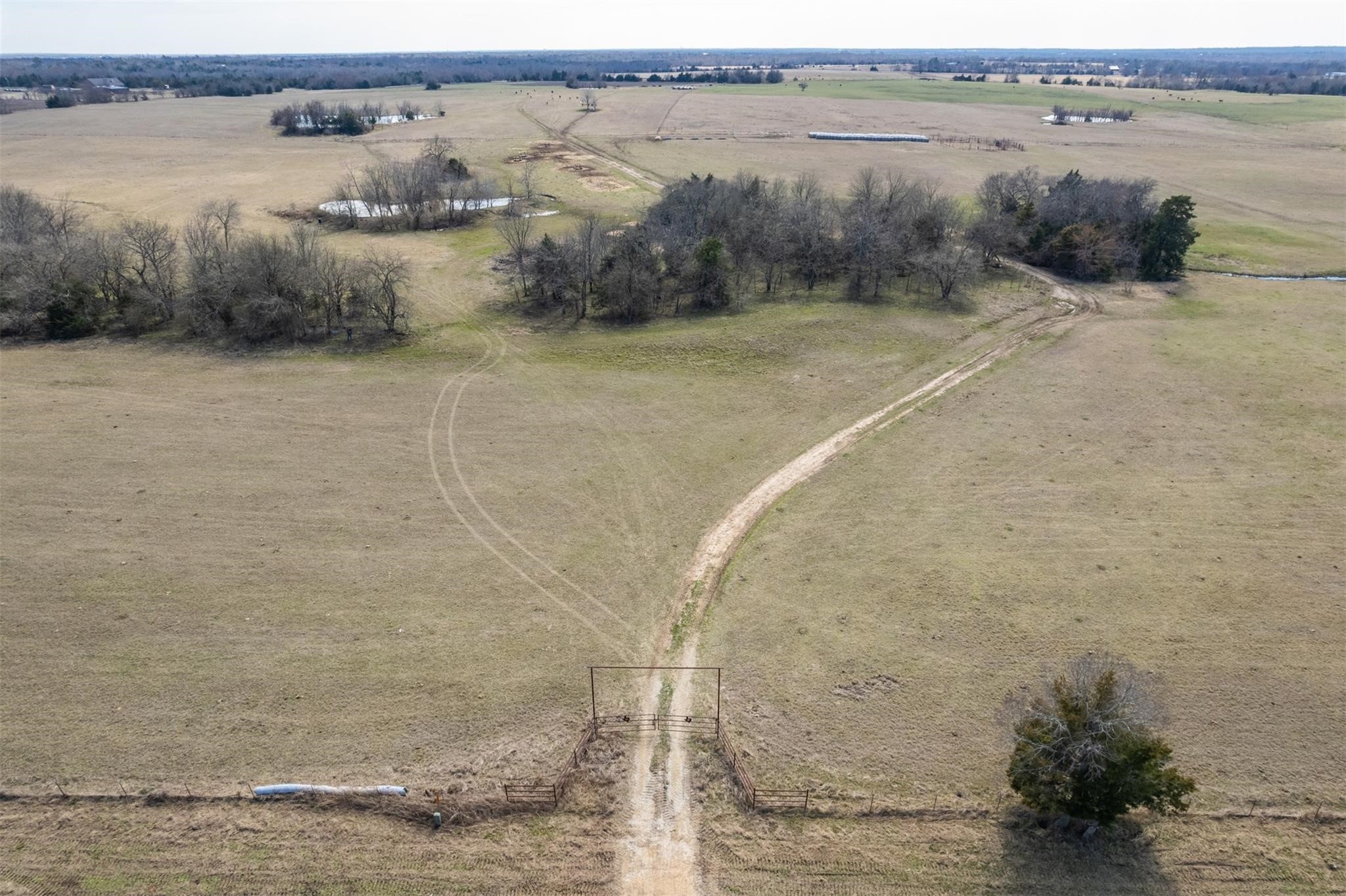 Tbd W Fm-1566 Celeste TX 75423