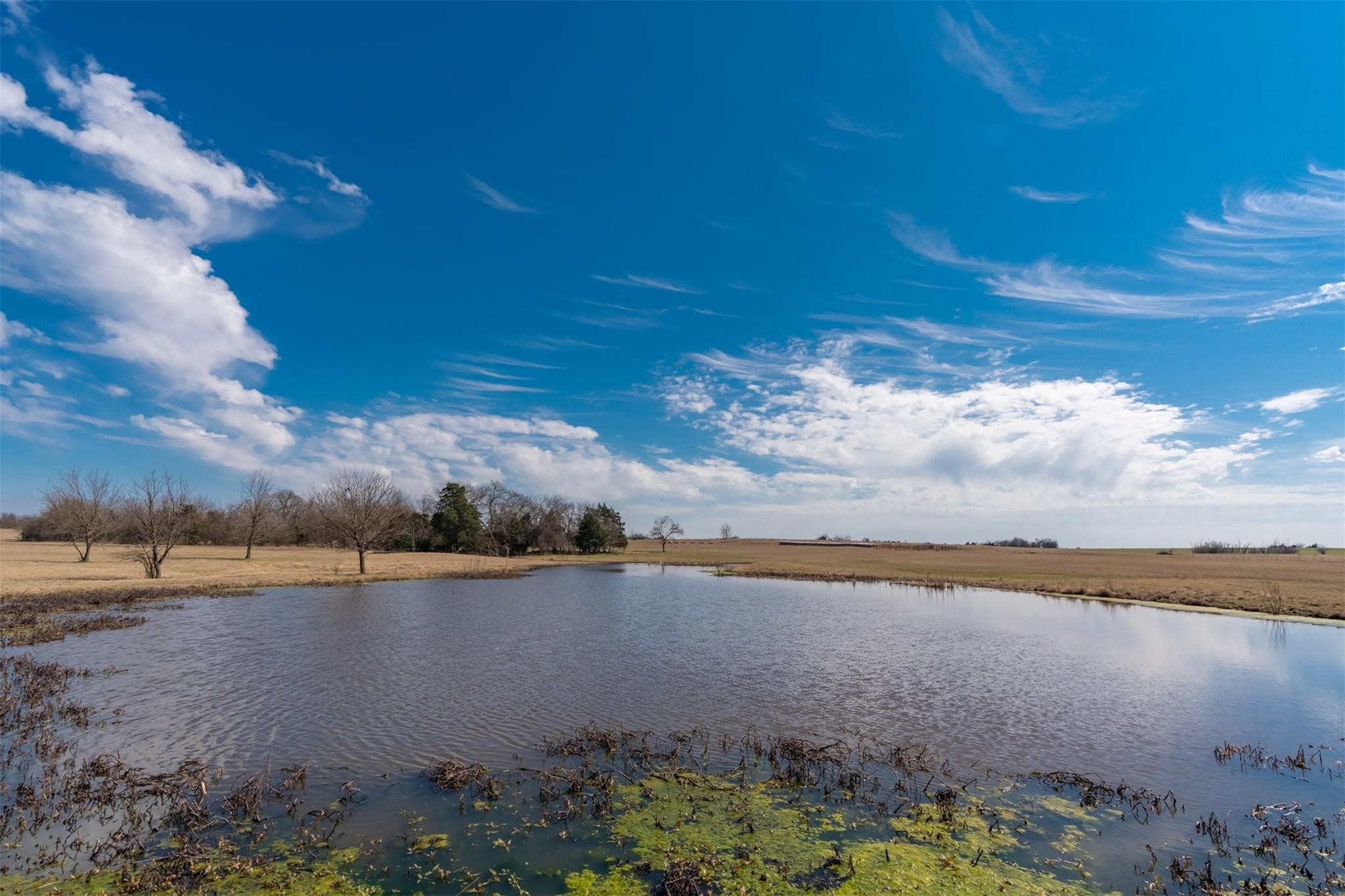 Tbd W Fm-1566 Celeste TX 75423
