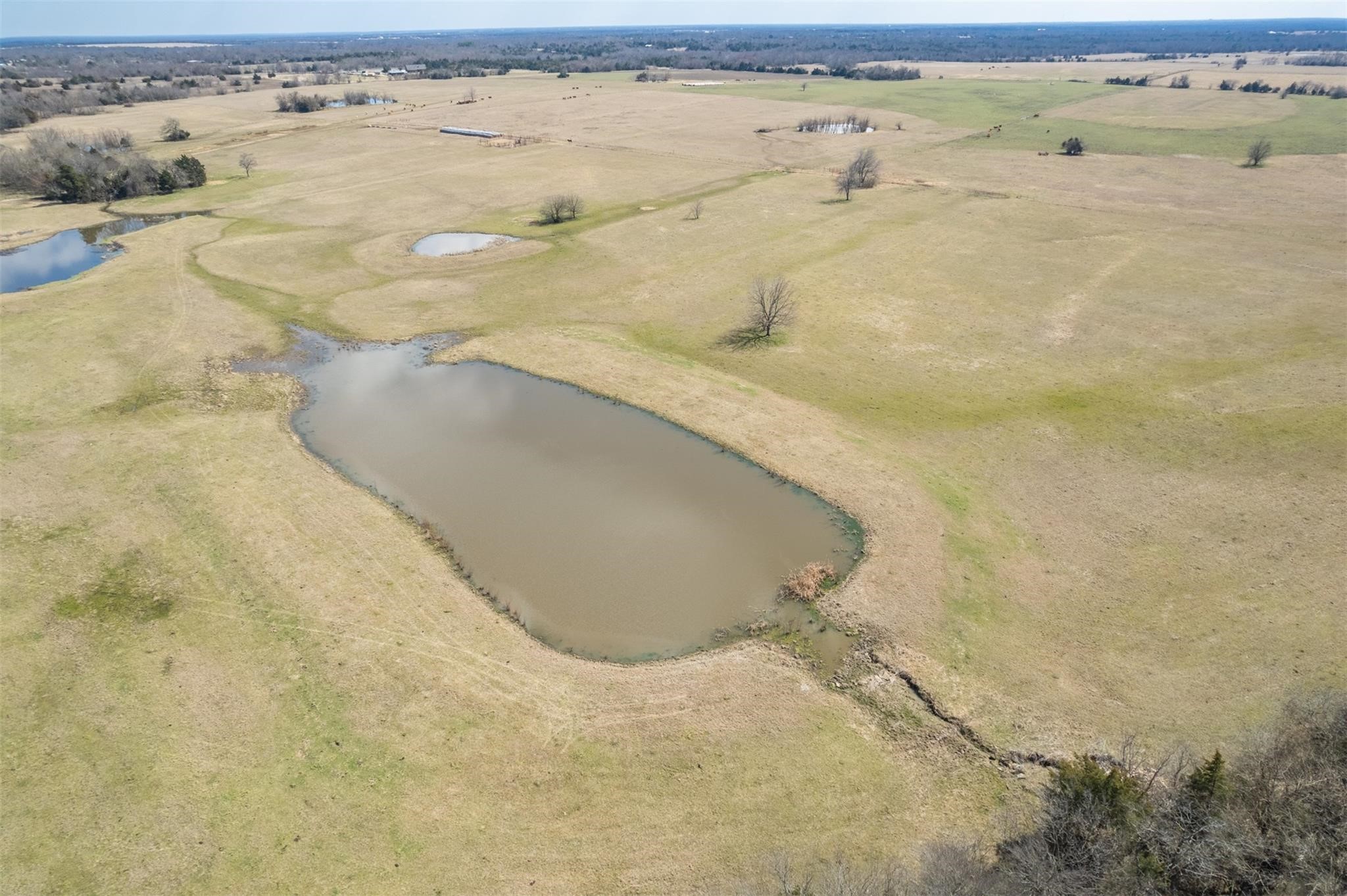 Tbd W Fm-1566 Celeste TX 75423