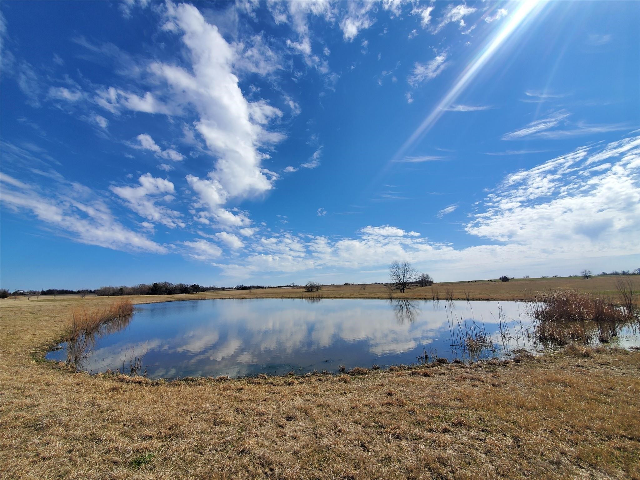 Tbd W Fm-1566 Celeste TX 75423