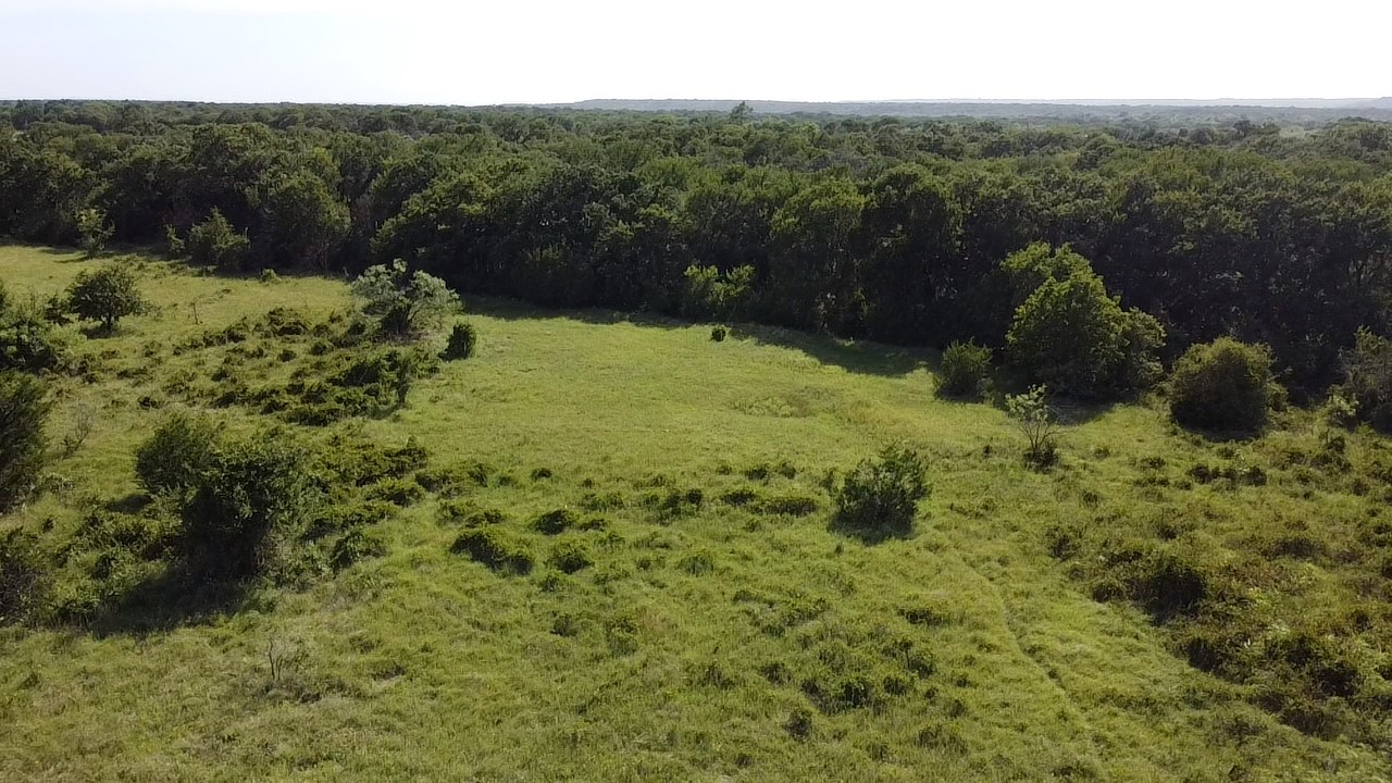0000 Ballew Springs Road Weatherford TX 76088