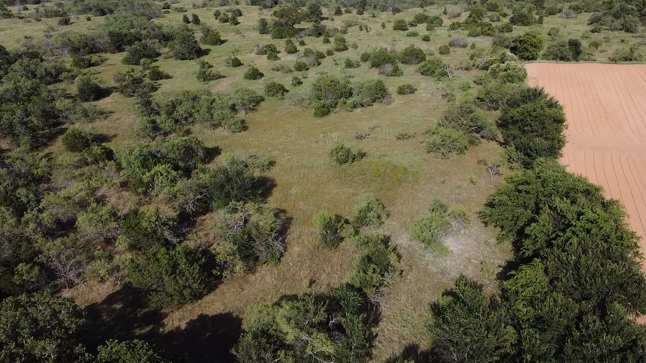0000 Ballew Springs Road Weatherford TX 76088