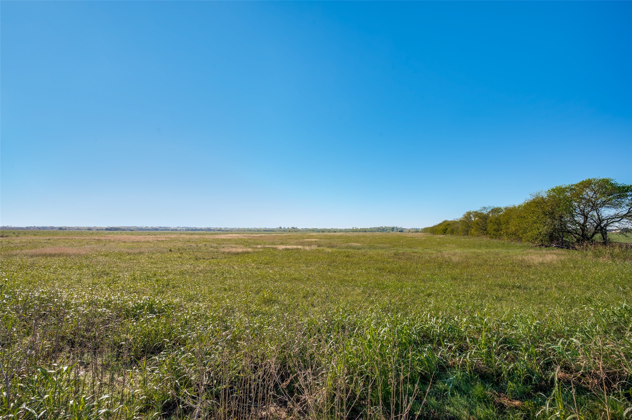 Tbd Lois Road E Sanger TX 76266