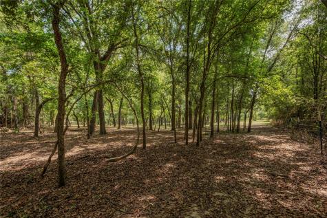 395 County Road 2530 Meridian TX 76665