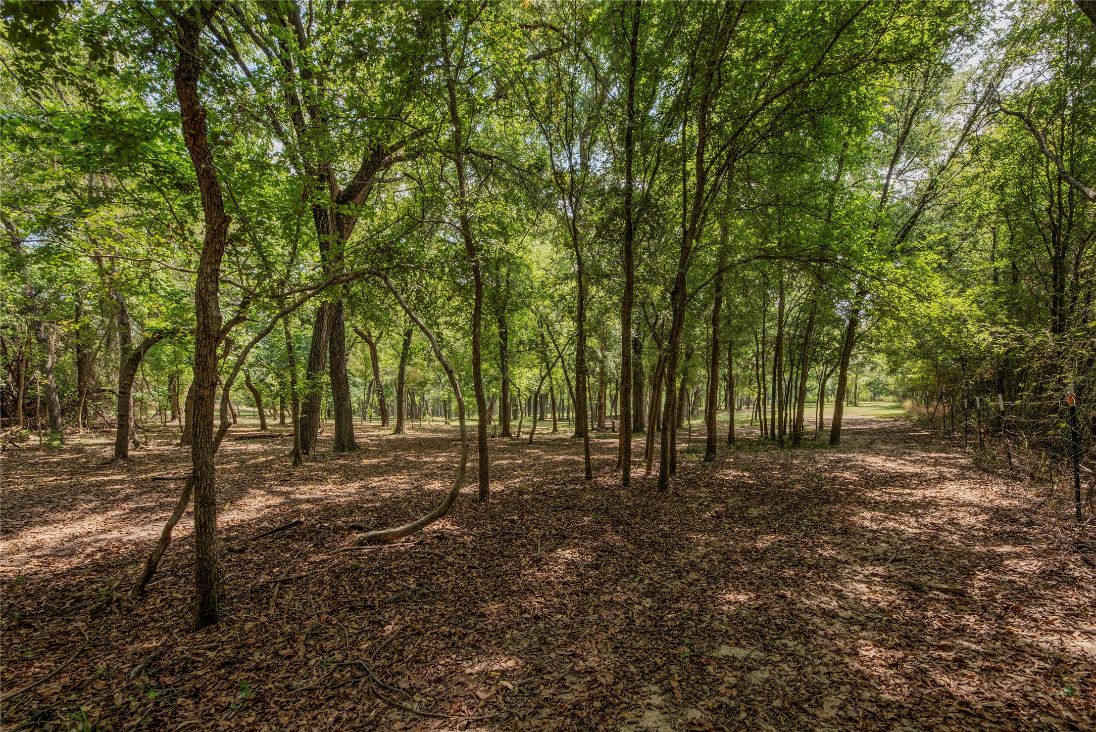 395 County Road 2530 Meridian TX 76665