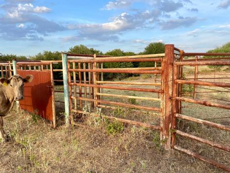 0000 Big Salty Drive Springtown TX 76082