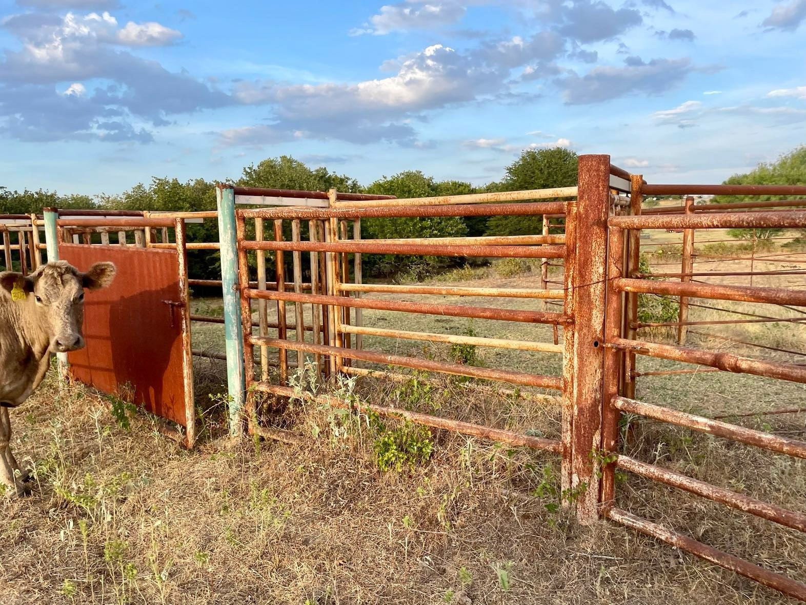 0000 Big Salty Drive Springtown TX 76082