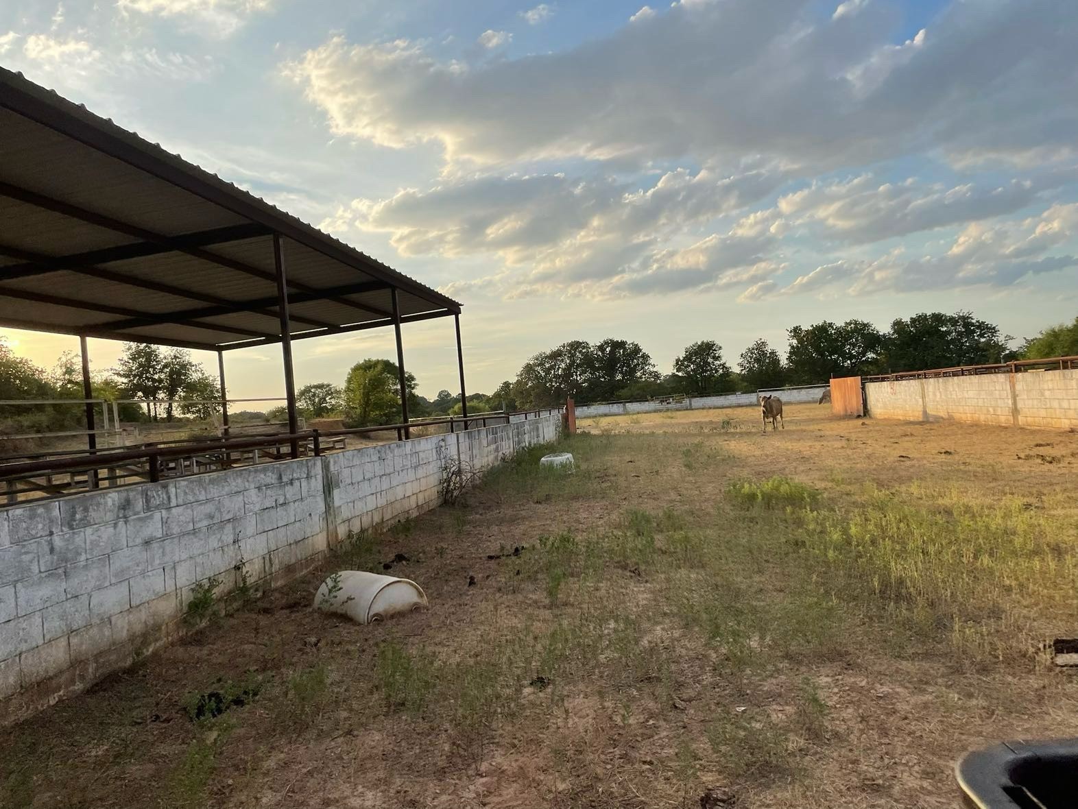 0000 Big Salty Drive Springtown TX 76082