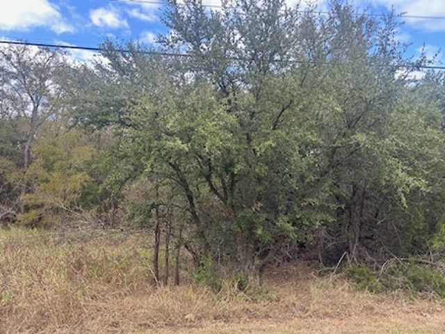 1531 White Bluff Drive Whitney TX 76692