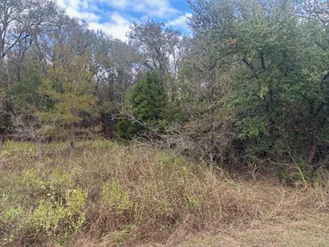 1531 White Bluff Drive Whitney TX 76692