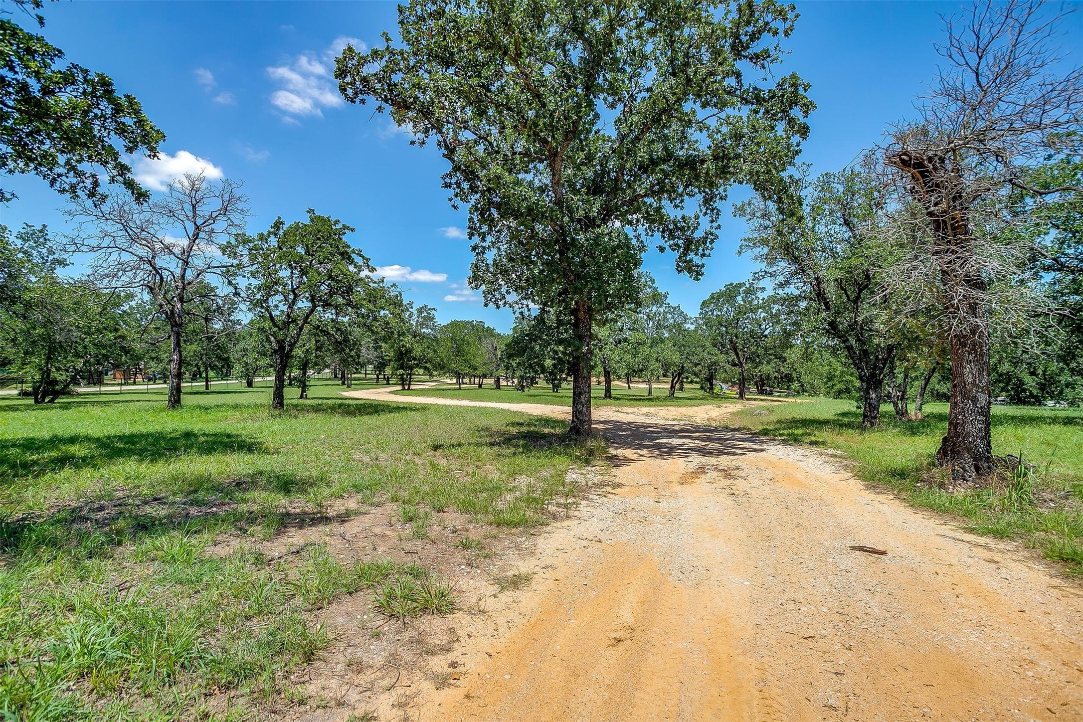 410 Wild Hill Oak Drive Springtown TX 76082