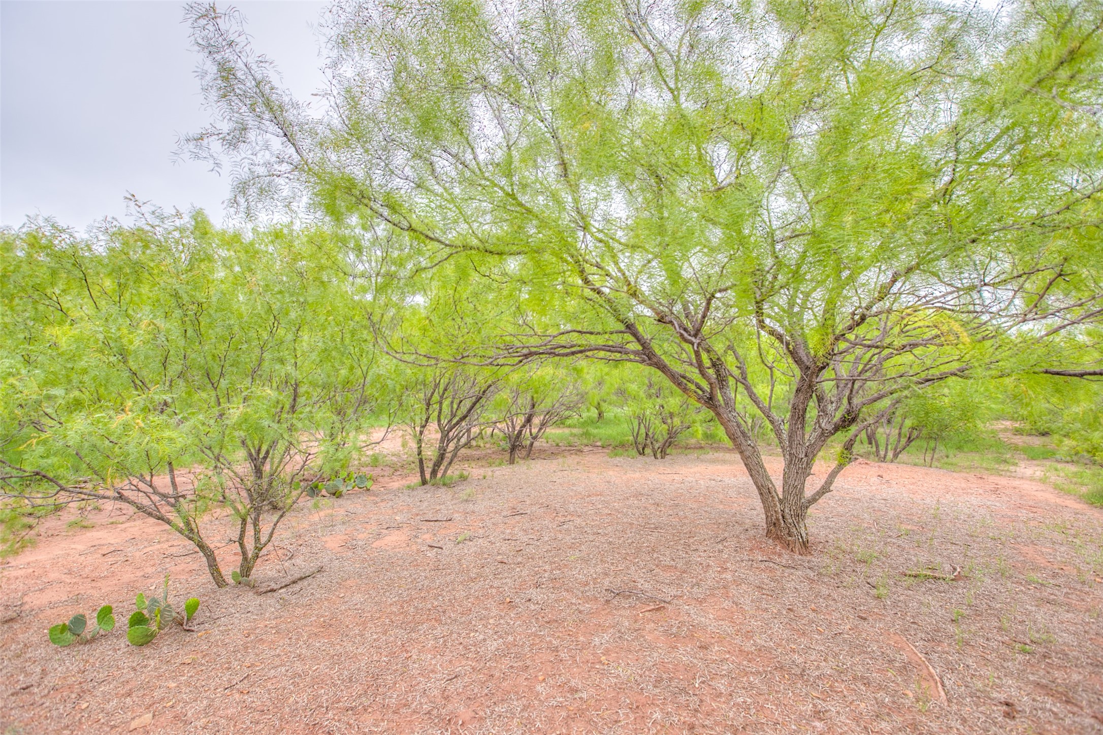 N/a Highway 36 Baird TX 79504