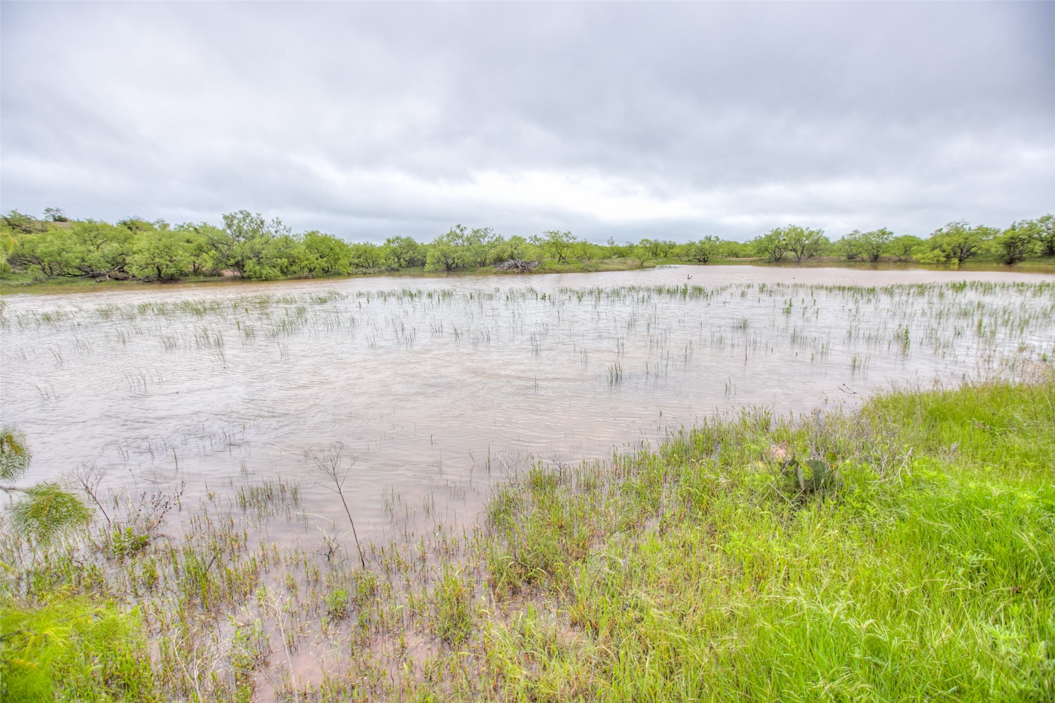N/a Highway 36 Baird TX 79504