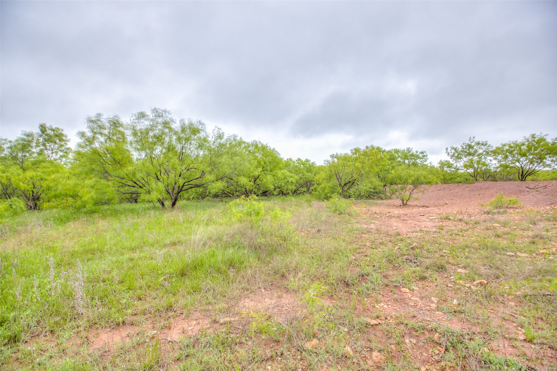 N/a Highway 36 Baird TX 79504