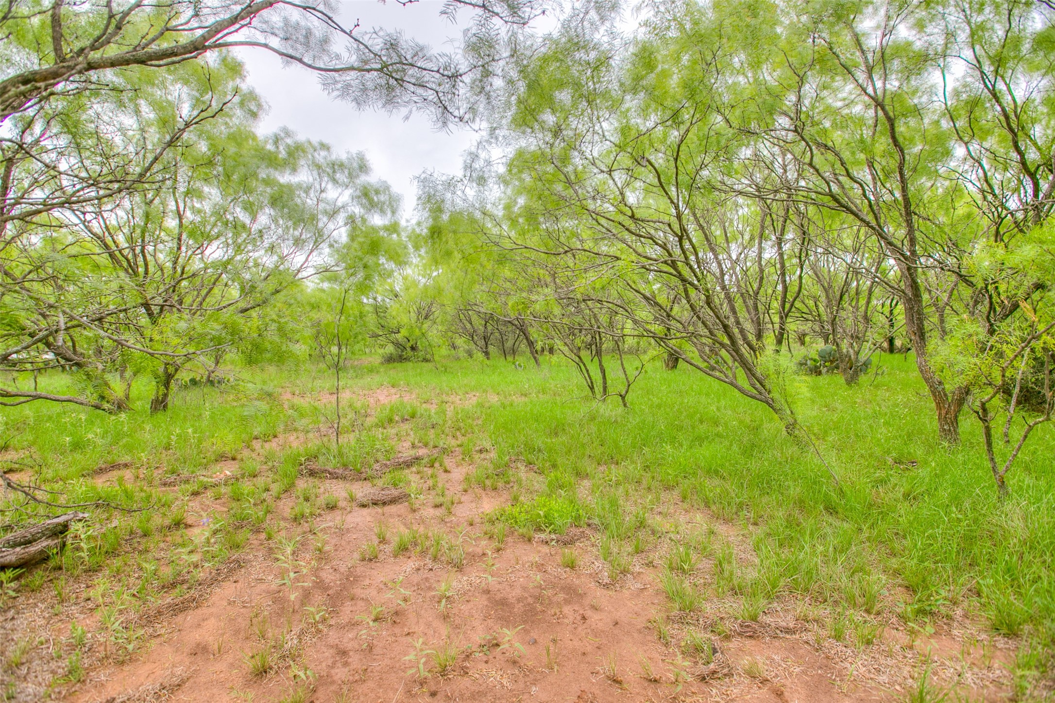 N/a Highway 36 Baird TX 79504
