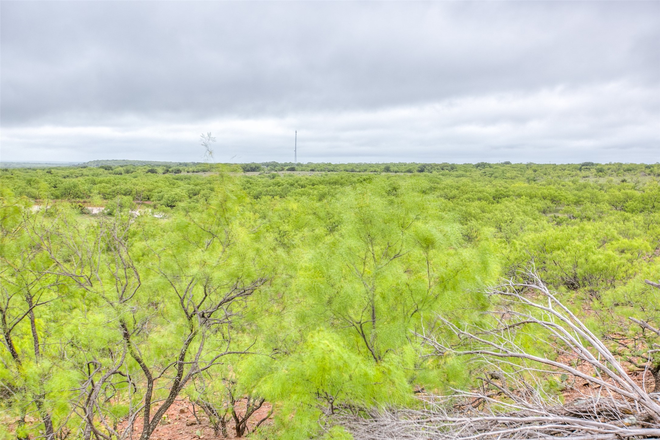 N/a Highway 36 Baird TX 79504