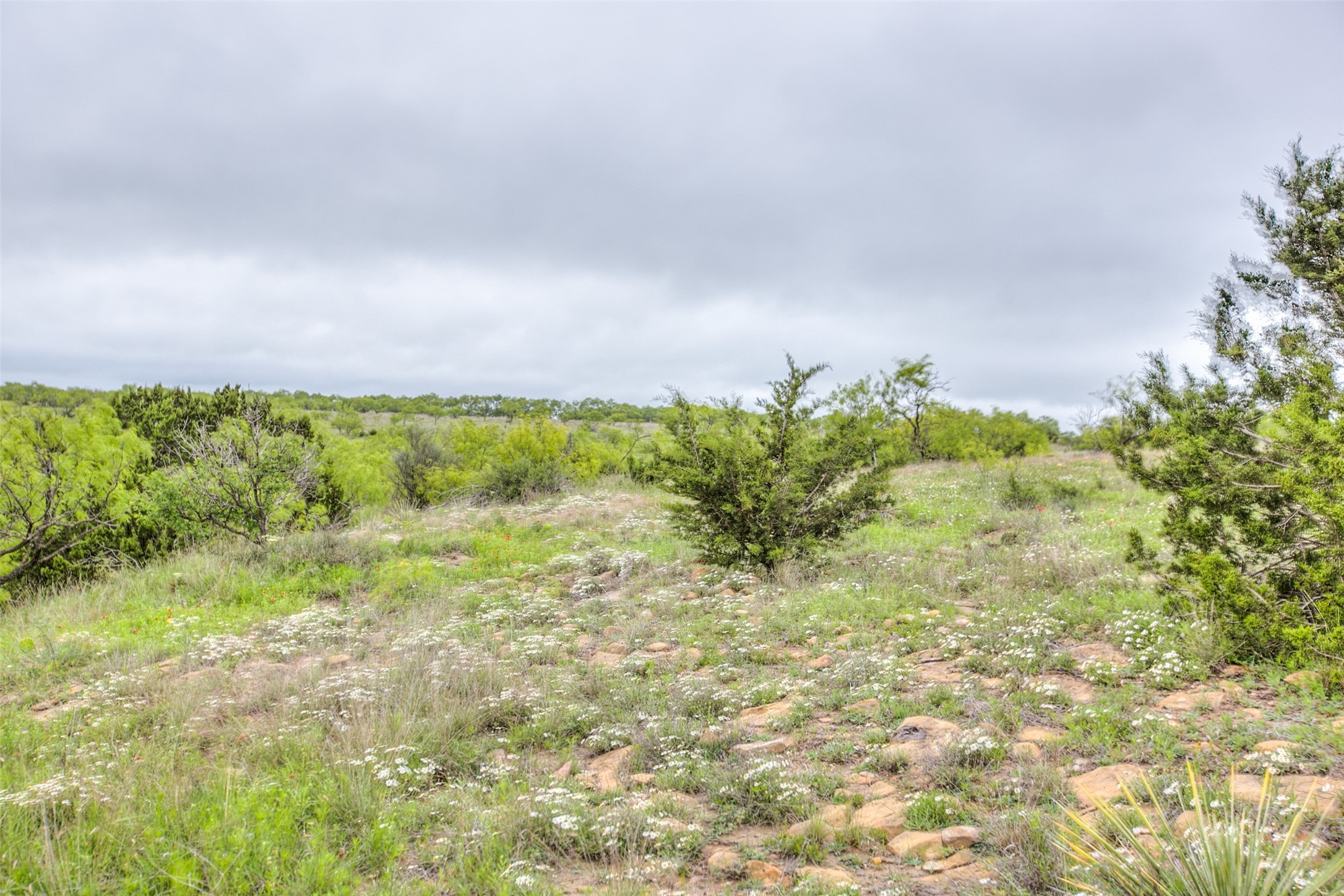 N/a Highway 36 Baird TX 79504