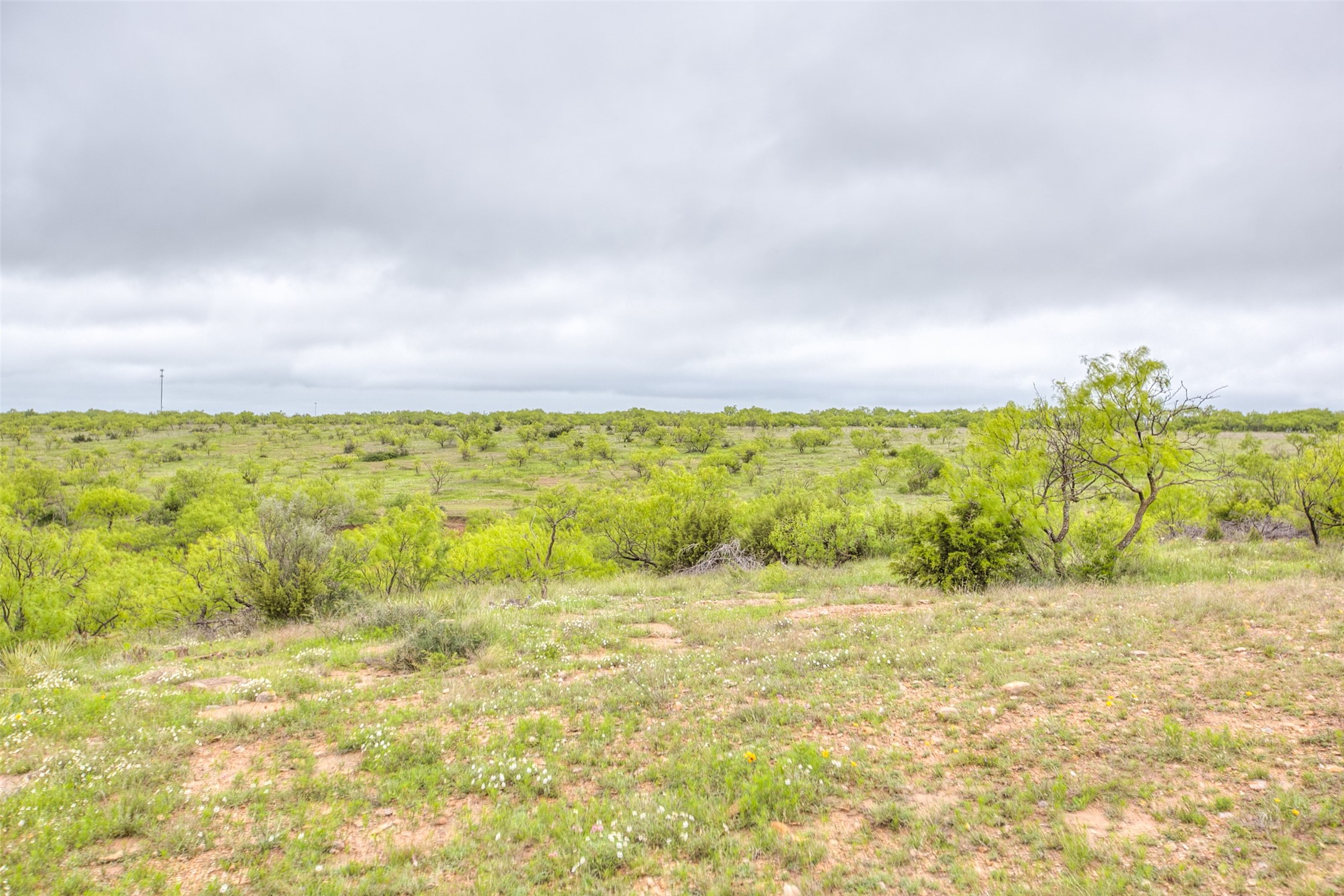 N/a Highway 36 Baird TX 79504