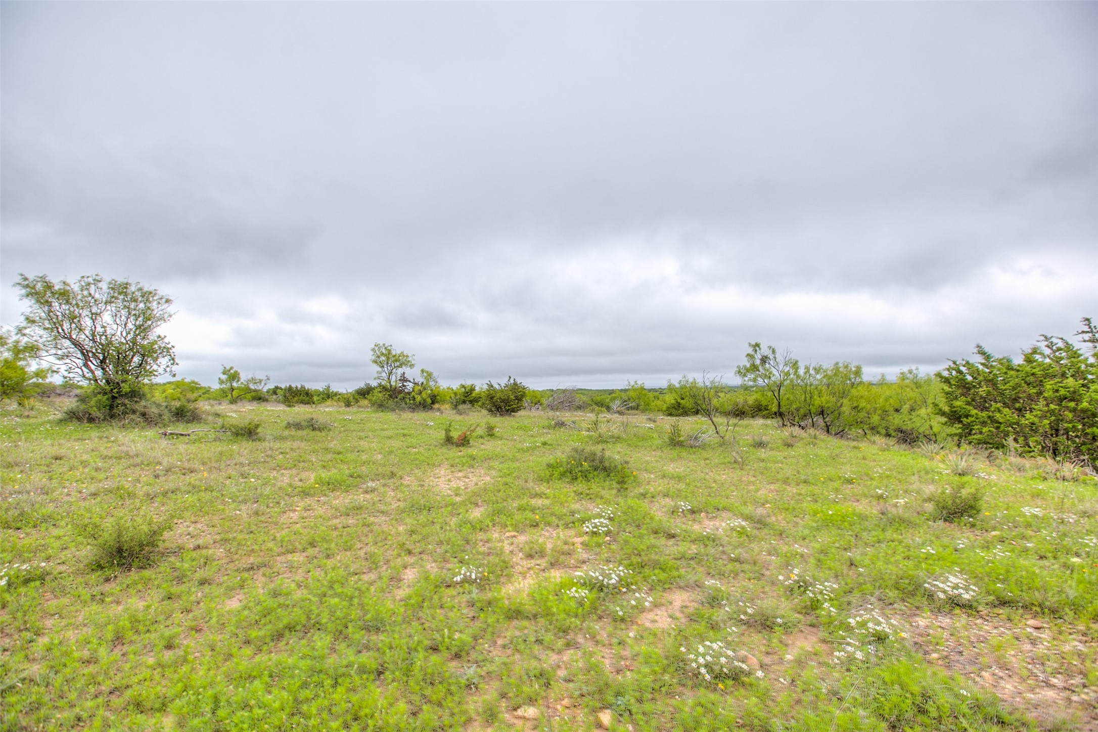 N/a Highway 36 Baird TX 79504