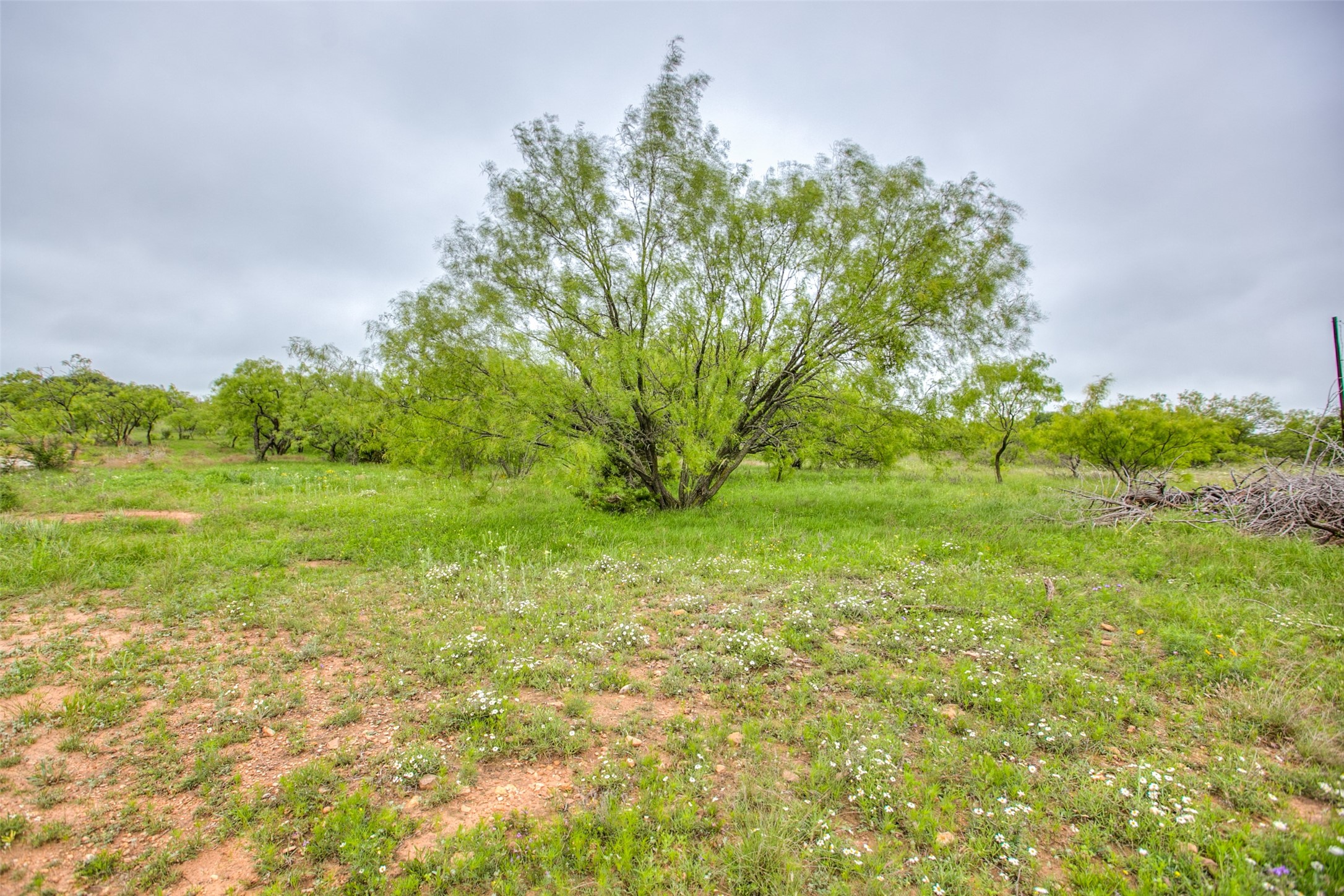 N/a Highway 36 Baird TX 79504