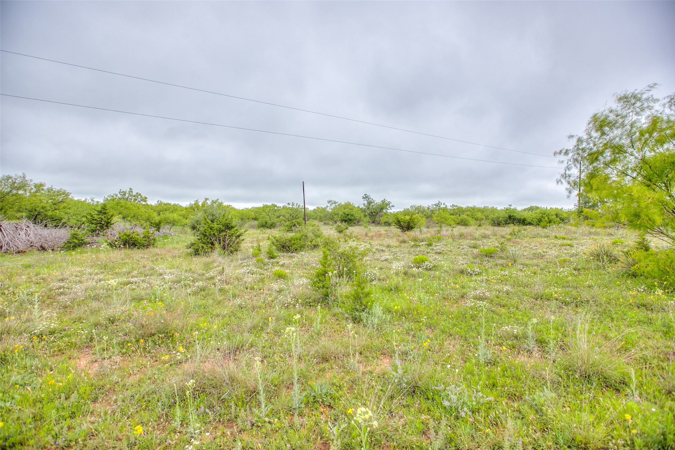 N/a Highway 36 Baird TX 79504