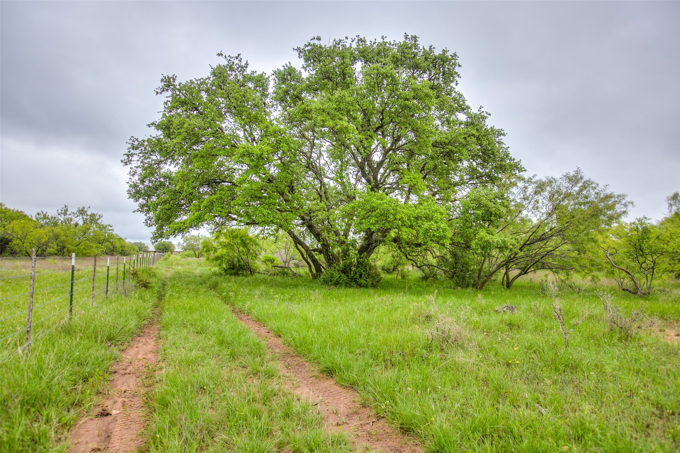 N/a Highway 36 Baird TX 79504