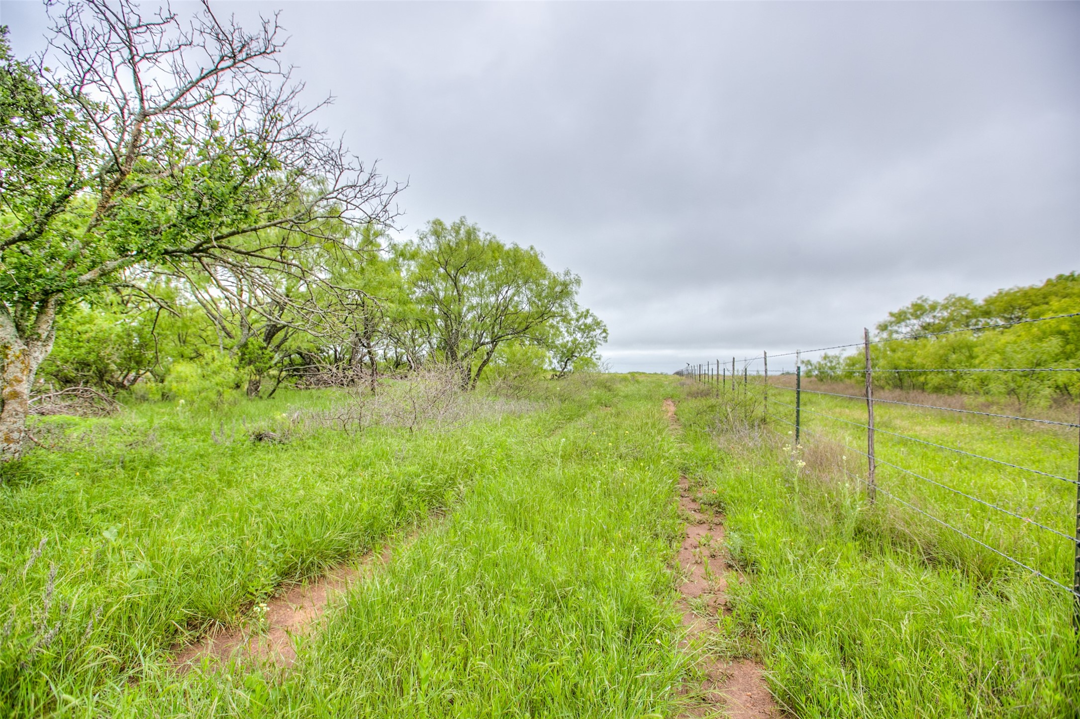 N/a Highway 36 Baird TX 79504